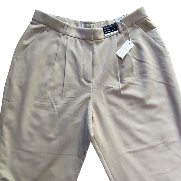 NWT Abercrombie A&F Sloane Tailored Wide Leg Pant Light Taupe 34 Curve Love - Picture 5 of 16